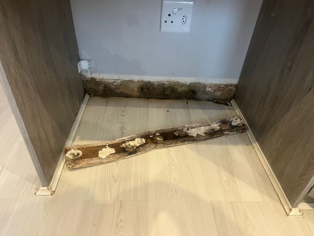 Removing floor skirting along the base of a wall as part of renovation work