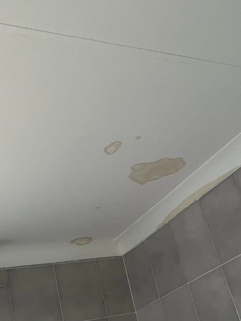 Close-up of water stains and damage on a ceiling, illustrating signs of moisture infiltration